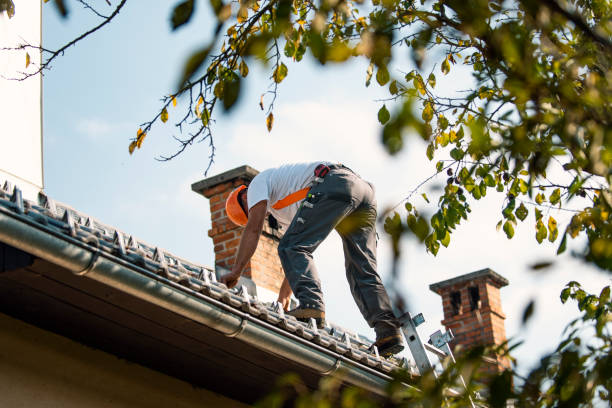 Best Roof Gutter Cleaning  in Halfway, MD